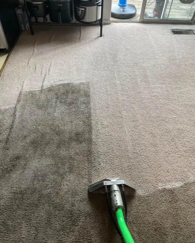 Beige carpet being cleaned with a hot water extraction wand