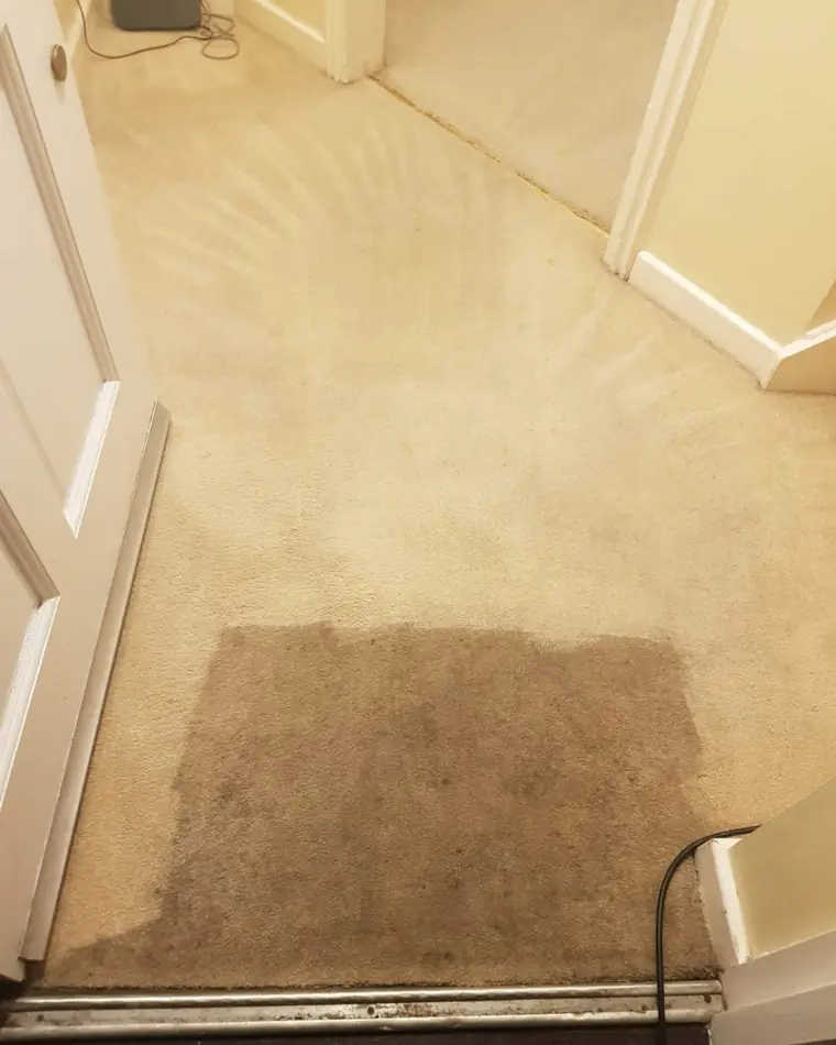 Heavily soiled cream carpet in a doorway with a cleaned patch