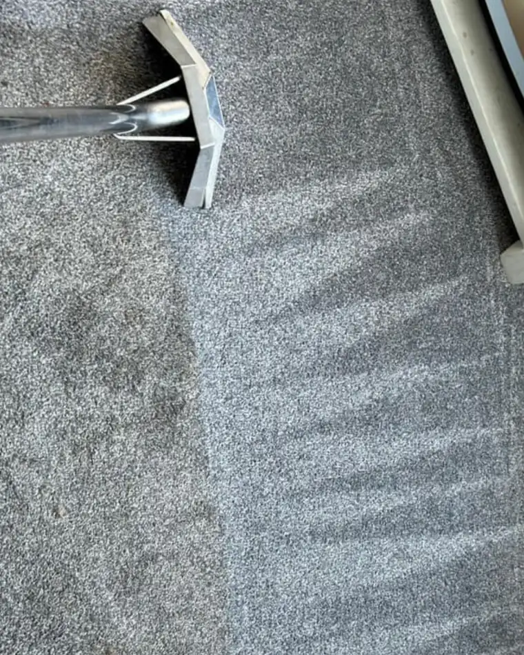 Grey carpet halfway through cleaning in a Slough home — dirty on the left, clean on the right
